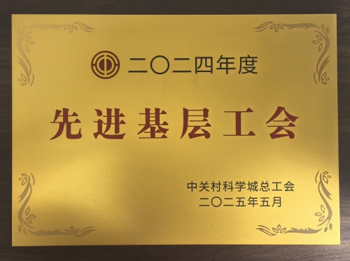 2024年度先进基层工会-2025.5_副本_副本